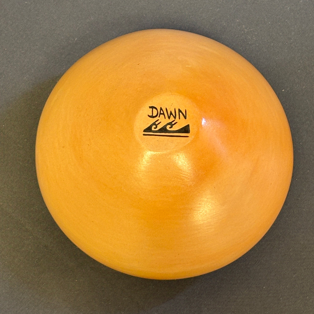 Dawn Navasie, Hopi Painted Pot with Parrot Tail Design  (JM56)