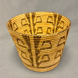 Vintage Tohono O'odham (Papago) Tall Round Coiled Basket with Plant Design, authentic Native American  (JFB15)