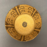 Vintage Tohono O'odham (Papago) Tall Round Coiled Basket with Plant Design, authentic Native American  (JFB15)