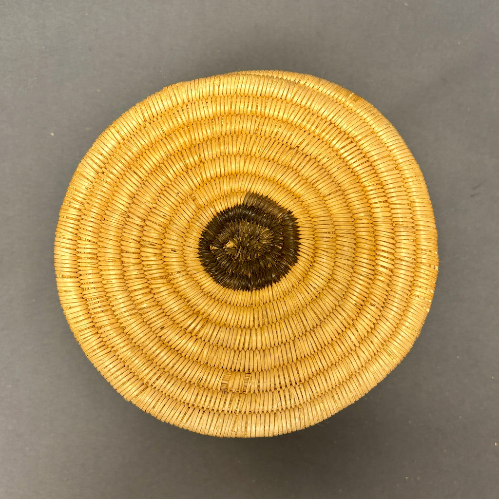 Vintage Tohono O'odham (Papago) Tall Round Coiled Basket with Plant Design, authentic Native American  (JFB15)