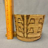 Vintage Tohono O'odham (Papago) Tall Round Coiled Basket with Plant Design, authentic Native American  (JFB15)