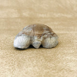 Picasso Marble Badger Fetish by Derrick Kaamasee, Zuni, Native American badger carving (1/412)