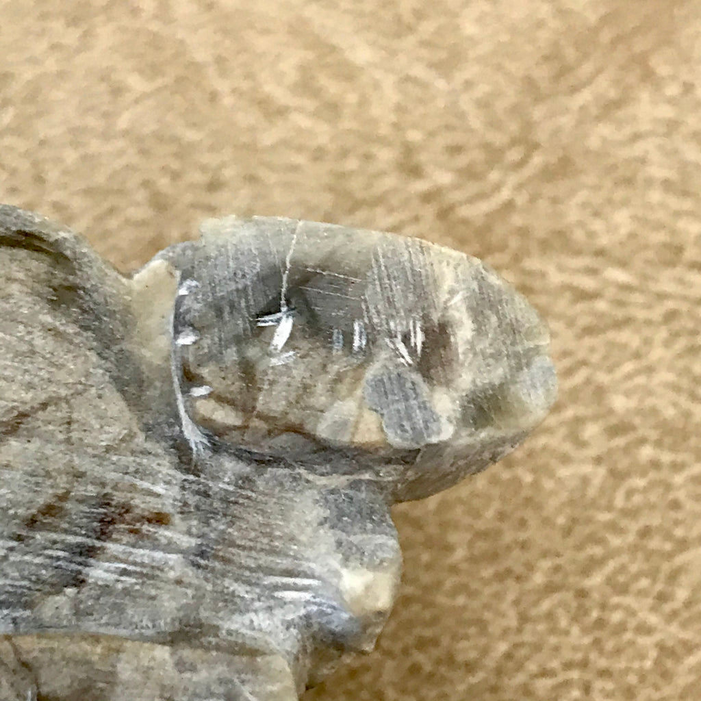Picasso Marble Badger Fetish by Derrick Kaamasee, Zuni, Native American badger carving (1/412)