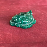 Turtle Fetish carved with Malachite (1/68)