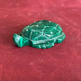 Turtle Fetish carved with Malachite (1/68)