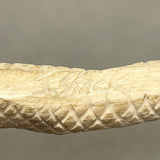 Antler Snake Fetish with Turquoise by Johnathan Shack, Zuni  (2/56)