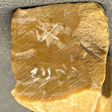 Picasso Marble Owl Fetish by Derrick Kaamasee, Zuni   (1/423)