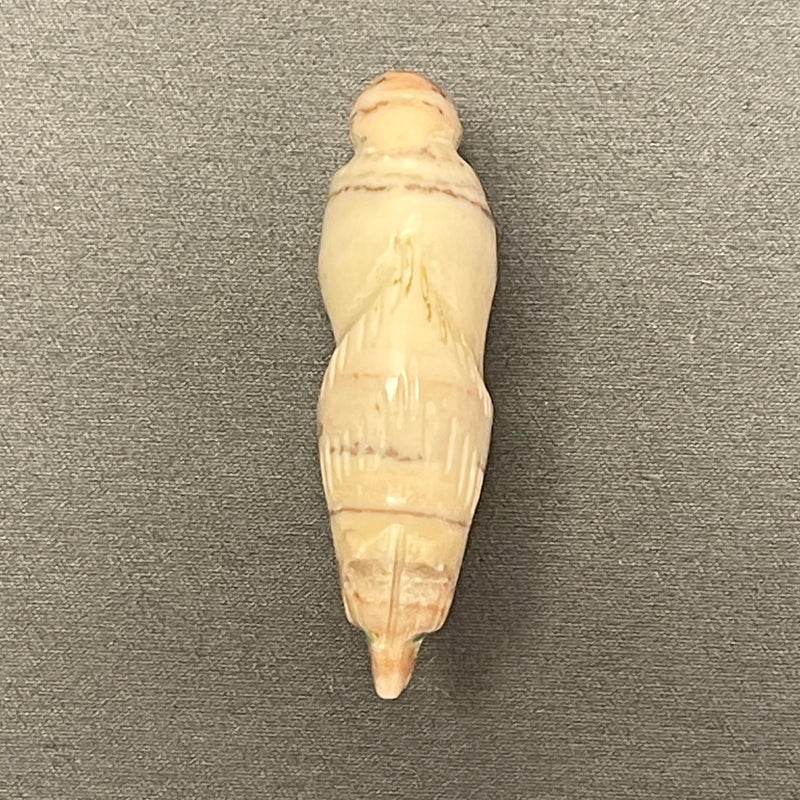 Zuni Marble Carved Wolf Fetish (RK221)