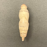 Zuni Marble Carved Wolf Fetish (RK221)