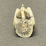 Zuni Antler Eagle Fetish with Turquoise Eyes, vintage Native American   (WHC51)