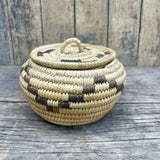 Vintage Papago Coiled Basket with Lid - Devil's claw & Yucca (GM318)