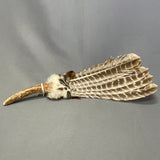 Lakota Dance Fan with Turkey Feathers and Antler Handle   (WHC22)