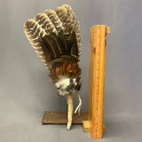 Lakota Dance Fan with Turkey Feathers and Antler Handle   (WHC22)