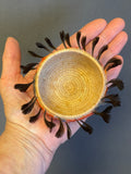 Small Pomo Basket with Quail Topknot Feathers, vintage (GM674)