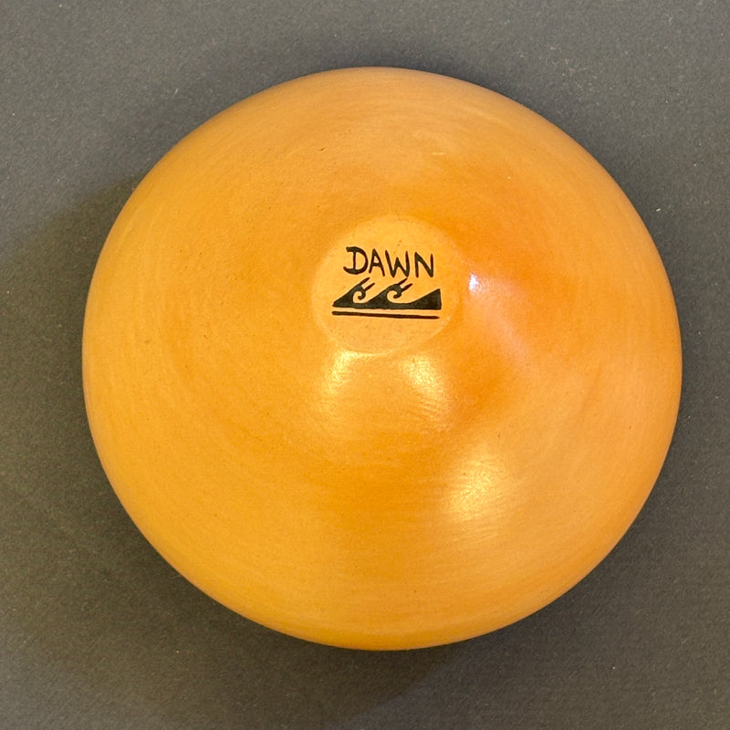 Dawn Navasie, Hopi Painted Pot with Parrot Tail Design  (JM56)