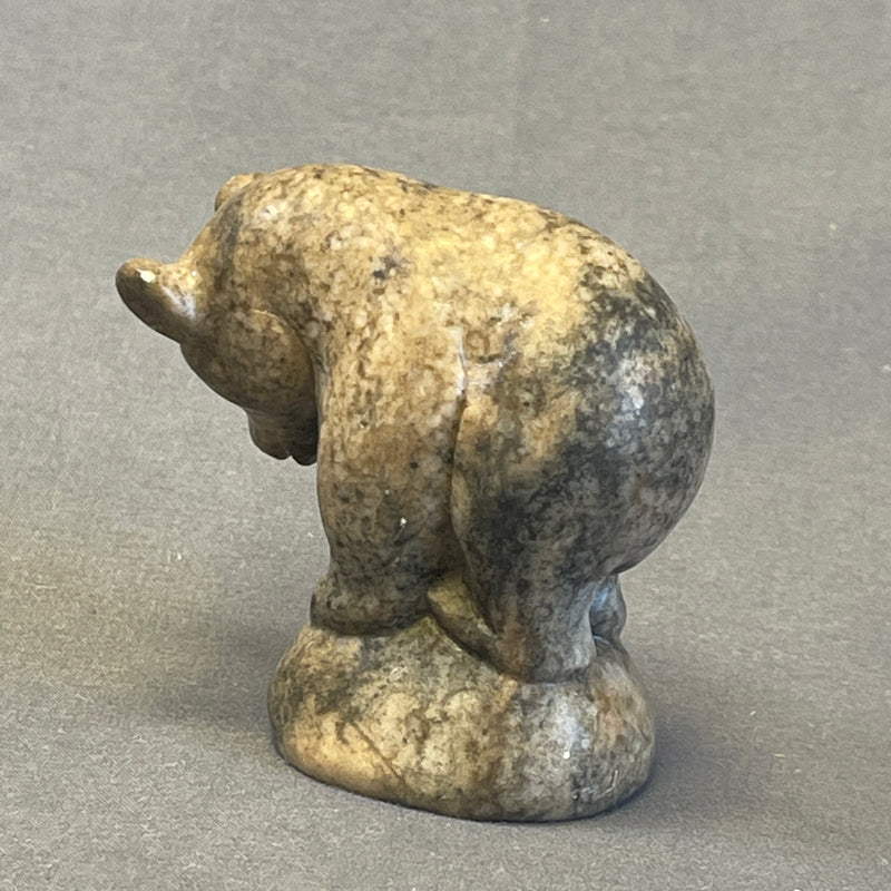 Zuni Carved Serpentine Bear Fetish  (JM132)