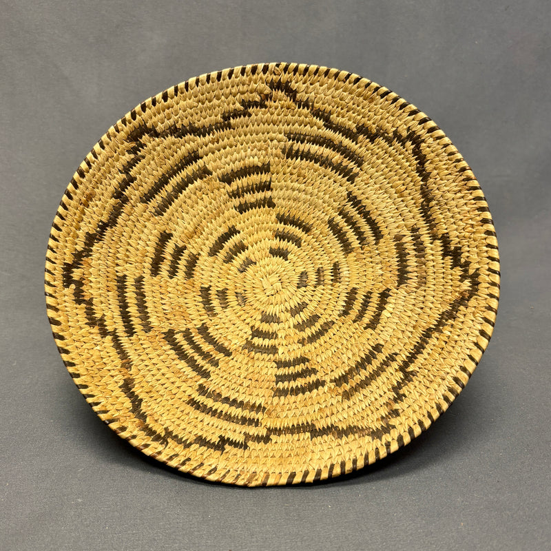 Vintage Papago Small Flat Coiled Basket with Star Pattern, authentic Native American (JFB22)