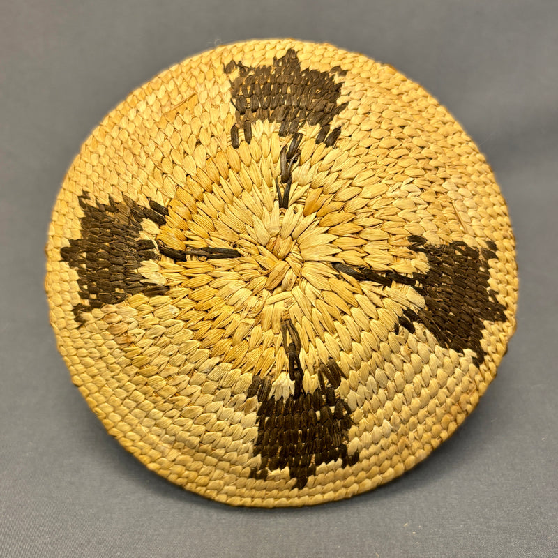 Vintage Tohono O'odham (Papago) Small Coiled Basket with Turtle Design, authentic Native American  (JFB14)
